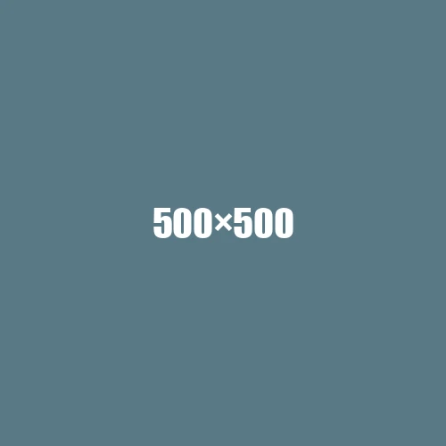 image de remplacement 500 × 500