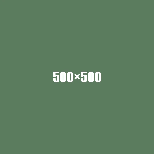 image de remplacement 500 × 500