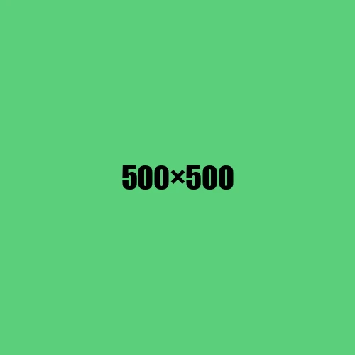 image de remplacement 500 × 500