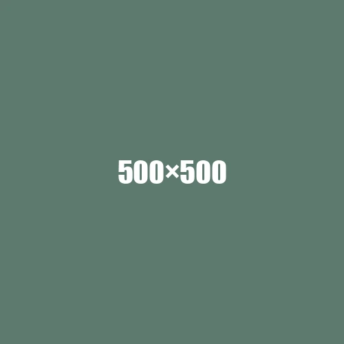 image de remplacement 500 × 500