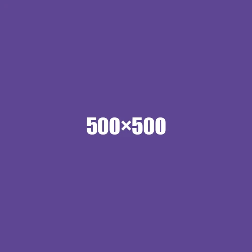 image de remplacement 500 × 500