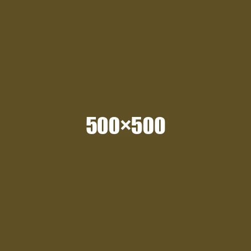 image de remplacement 500 × 500