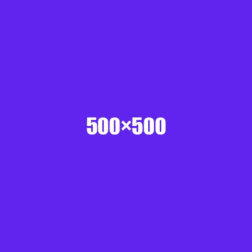 image de remplacement 500 × 500