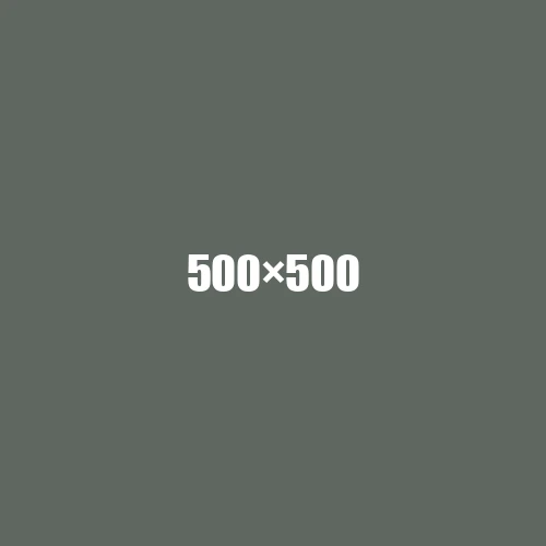 image de remplacement 500 × 500