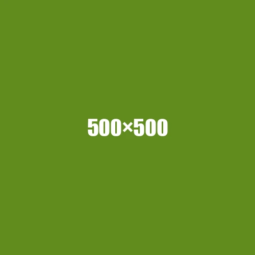 image de remplacement 500 × 500