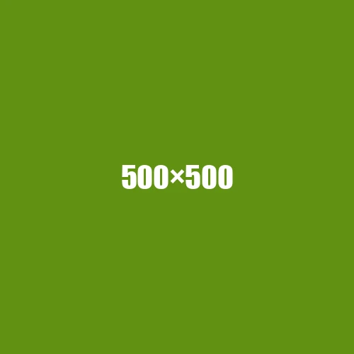 image de remplacement 500 × 500