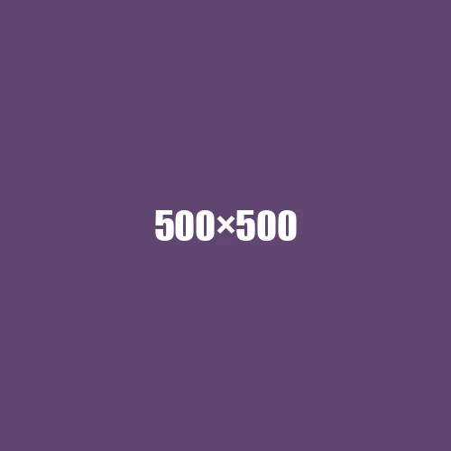 image de remplacement 500 × 500