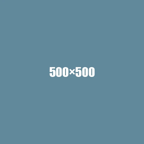 image de remplacement 500 × 500