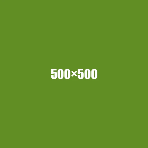 image de remplacement 500 × 500