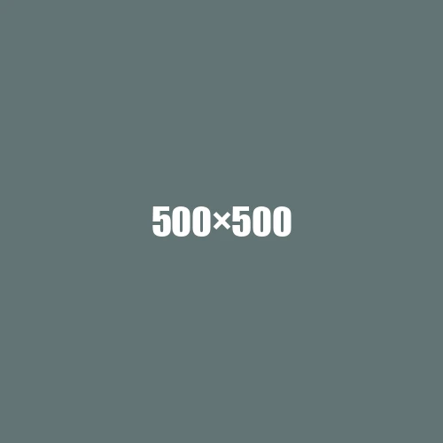 image de remplacement 500 × 500