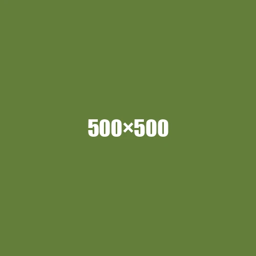 image de remplacement 500 × 500