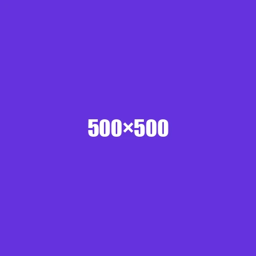image de remplacement 500 × 500
