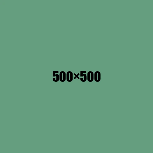 image de remplacement 500 × 500