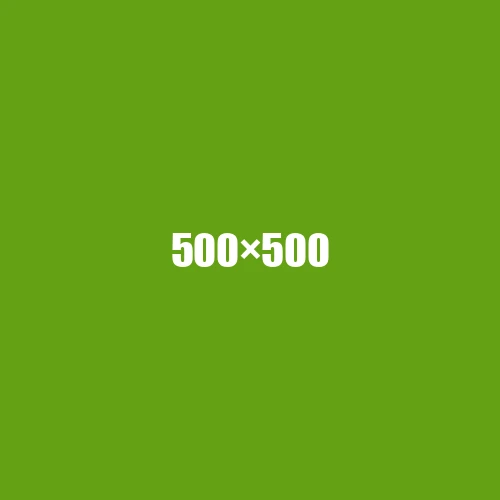 image de remplacement 500 × 500