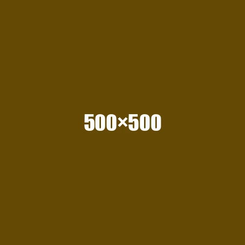 image de remplacement 500 × 500