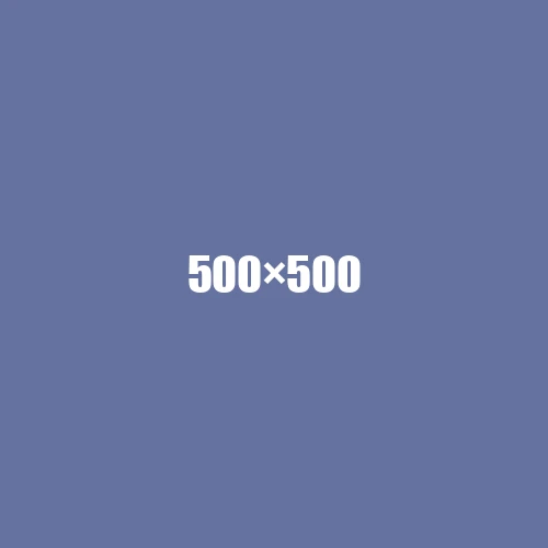 image de remplacement 500 × 500