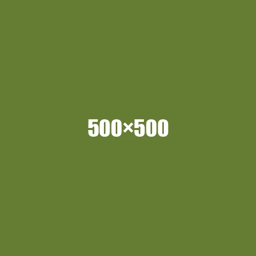 image de remplacement 500 × 500