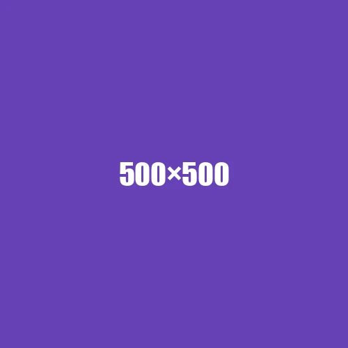 image de remplacement 500 × 500