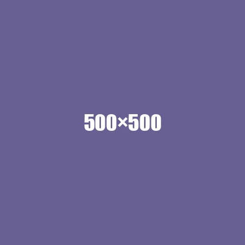 image de remplacement 500 × 500