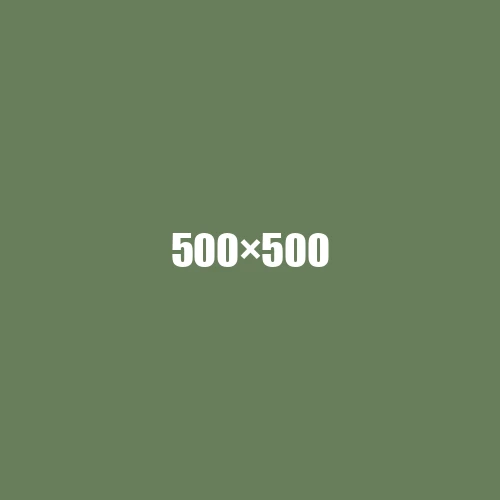 image de remplacement 500 × 500