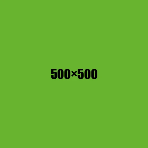 image de remplacement 500 × 500