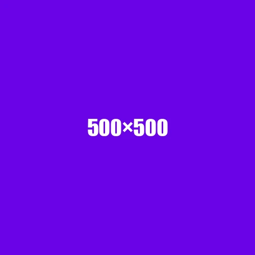 image de remplacement 500 × 500