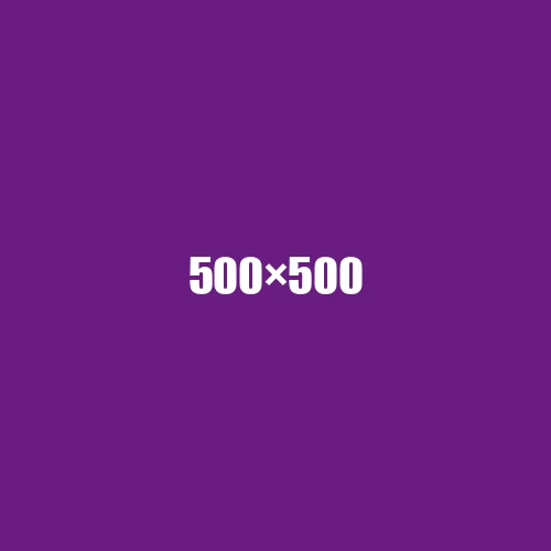image de remplacement 500 × 500