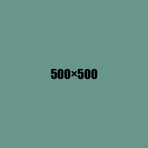 image de remplacement 500 × 500