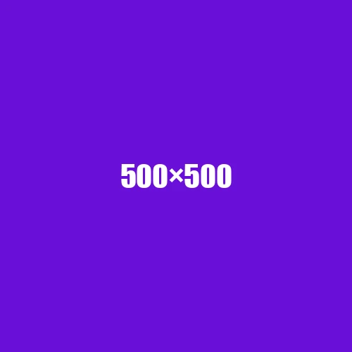image de remplacement 500 × 500