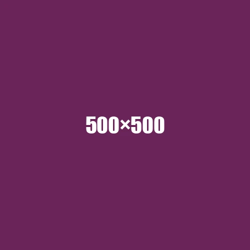 image de remplacement 500 × 500