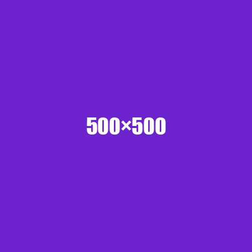image de remplacement 500 × 500