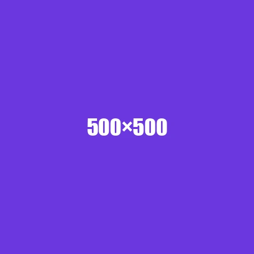 image de remplacement 500 × 500