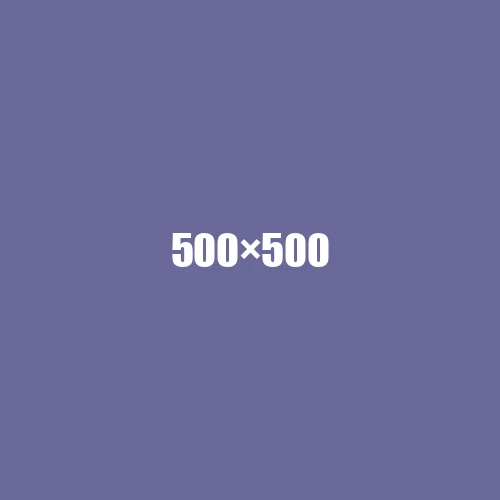 image de remplacement 500 × 500
