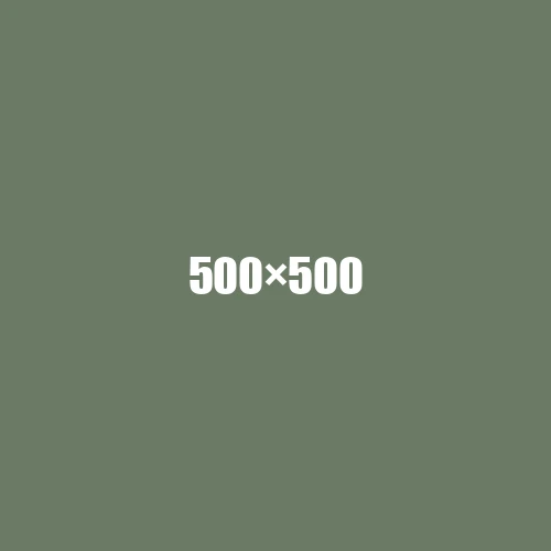 image de remplacement 500 × 500