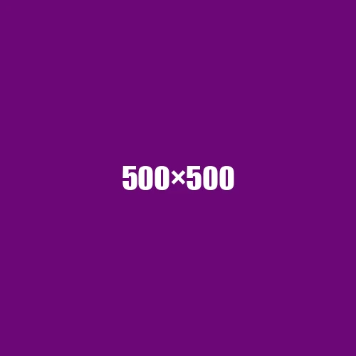 image de remplacement 500 × 500