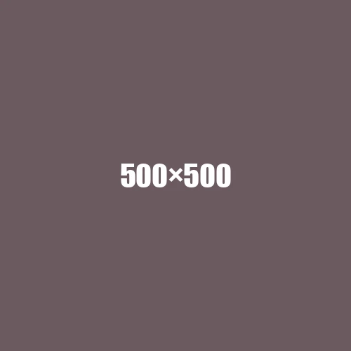 image de remplacement 500 × 500