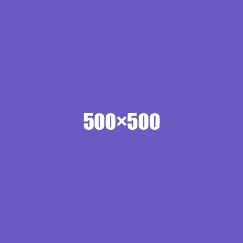 image de remplacement 500 × 500