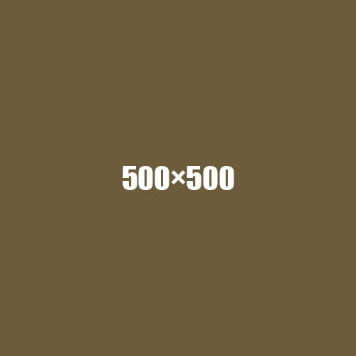 image de remplacement 500 × 500