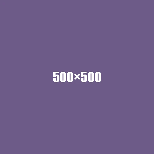 image de remplacement 500 × 500