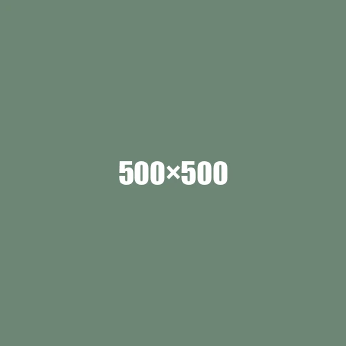 image de remplacement 500 × 500