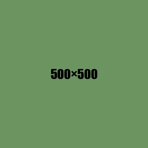 image de remplacement 500 × 500