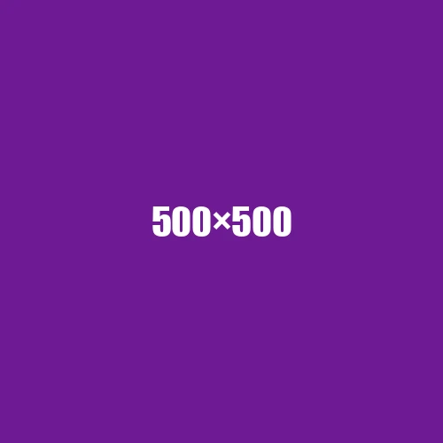 image de remplacement 500 × 500