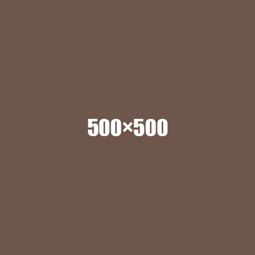 image de remplacement 500 × 500