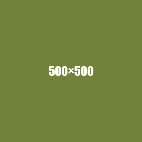 image de remplacement 500 × 500
