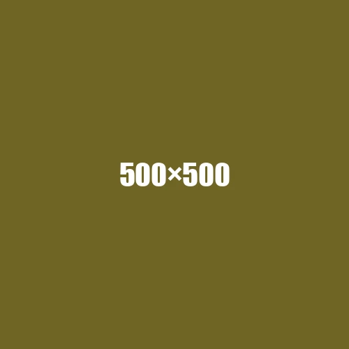 image de remplacement 500 × 500