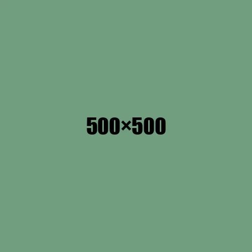 image de remplacement 500 × 500