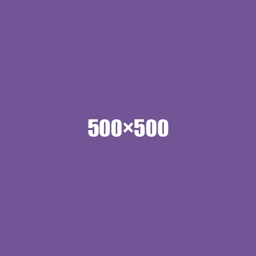 image de remplacement 500 × 500
