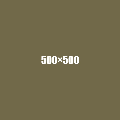 image de remplacement 500 × 500