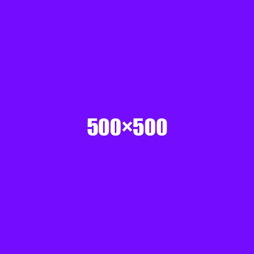 image de remplacement 500 × 500
