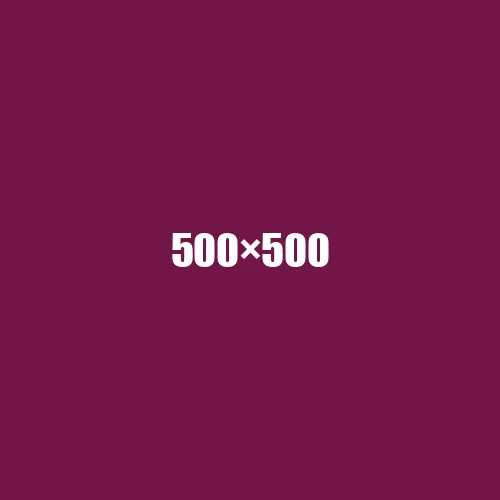 image de remplacement 500 × 500